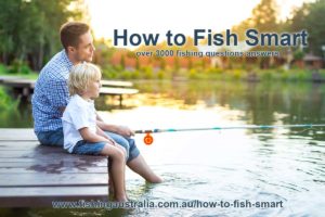 How to Fish Smart