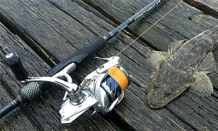 Best Rod and Reel Combo for Estuary Fishing